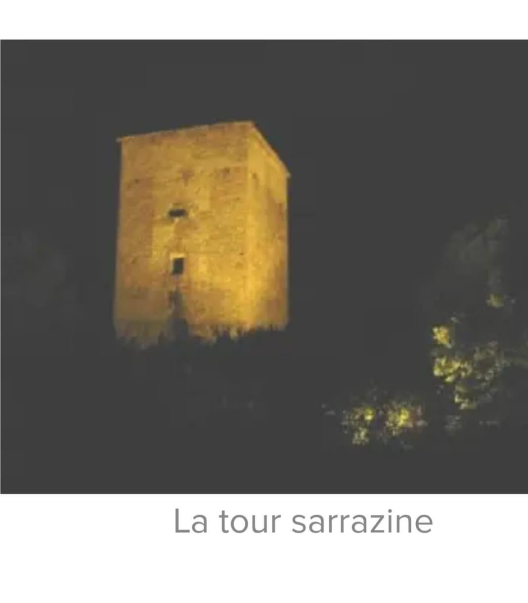 La Jolie Vue Et La Maison De La Tour- Cordes-Sur-Ciel Les Cabannes  외부 사진